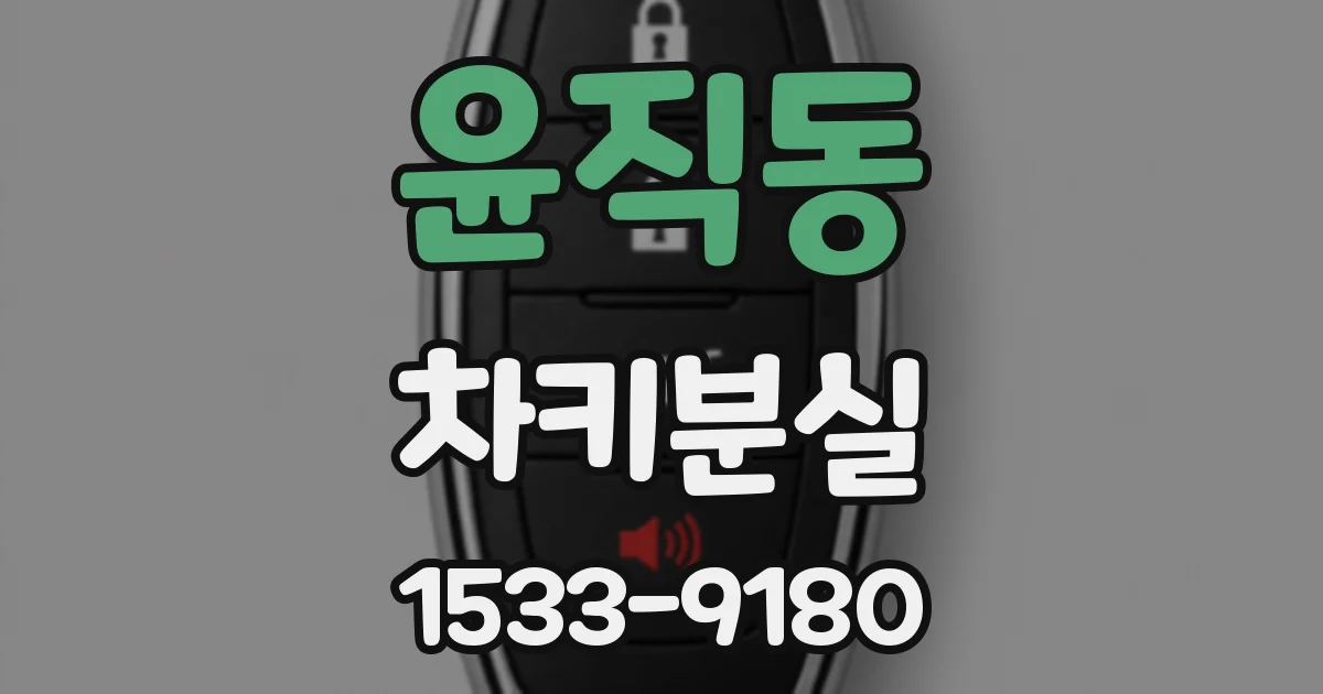 윤직동 차키분실