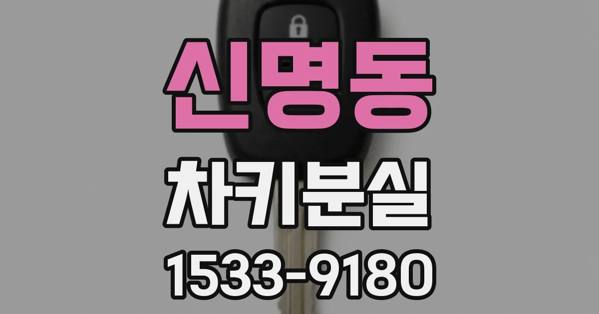 신명동 차키분실