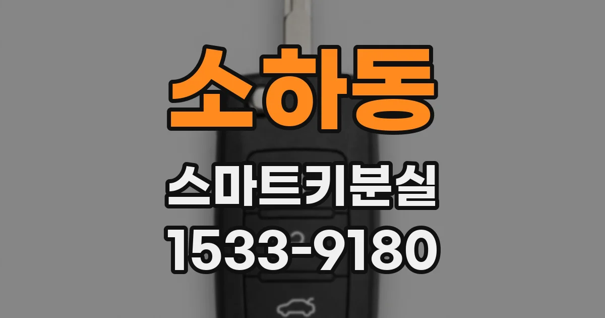 소하동 스마트키분실