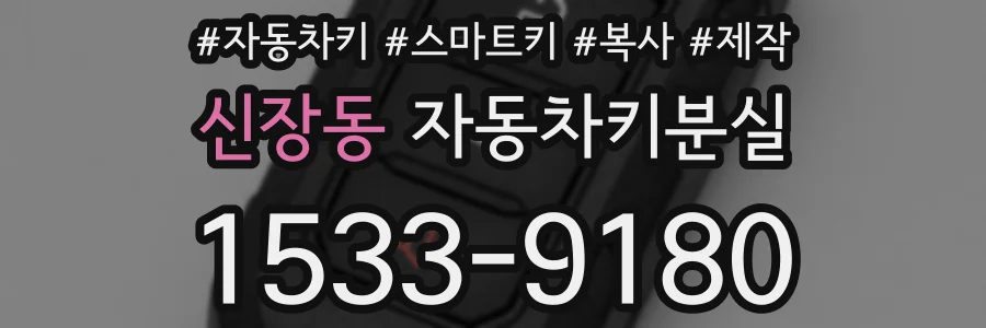 신장동 자동차키분실