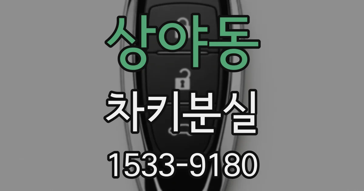 상야동 차키분실