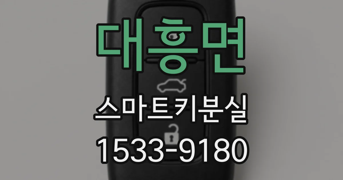 대흥면 스마트키분실