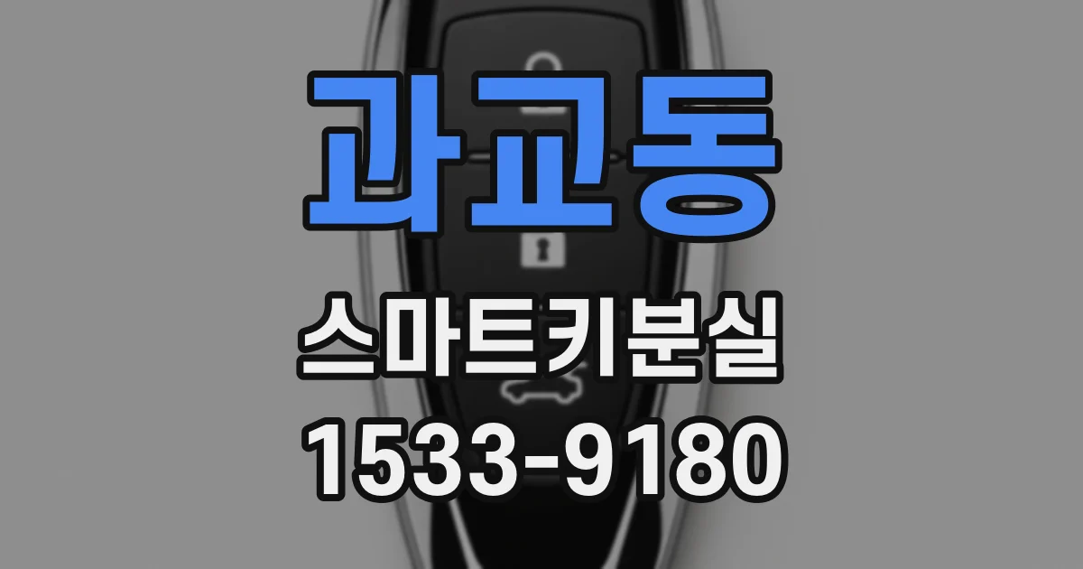 과교동 스마트키분실