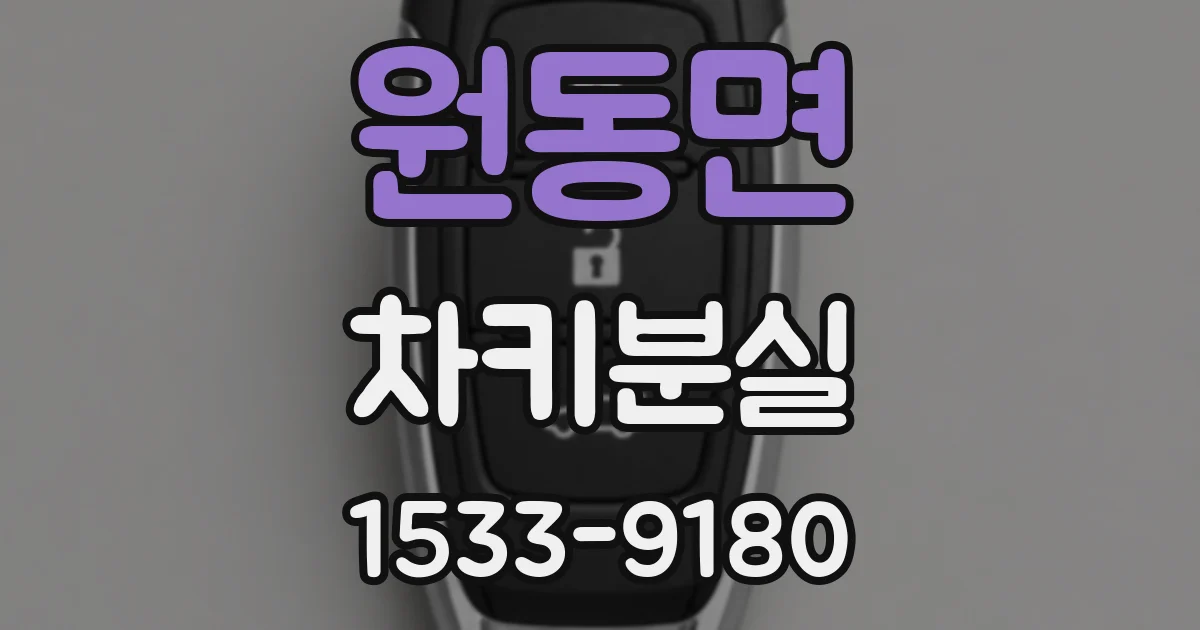 원동면 차키분실