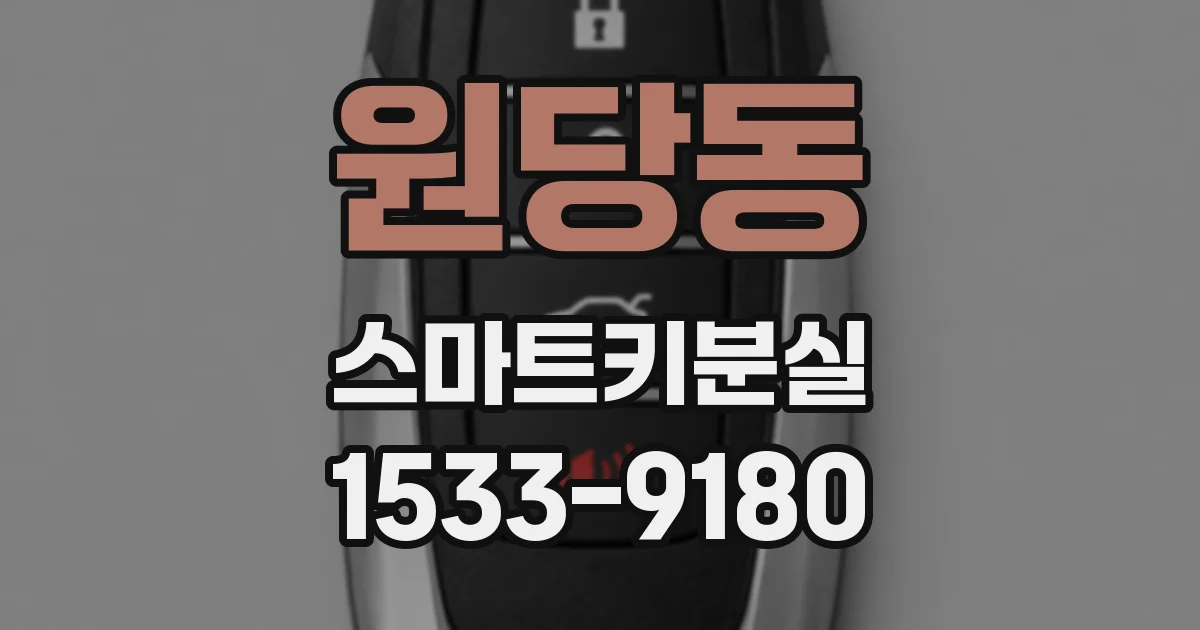 원당동 스마트키분실