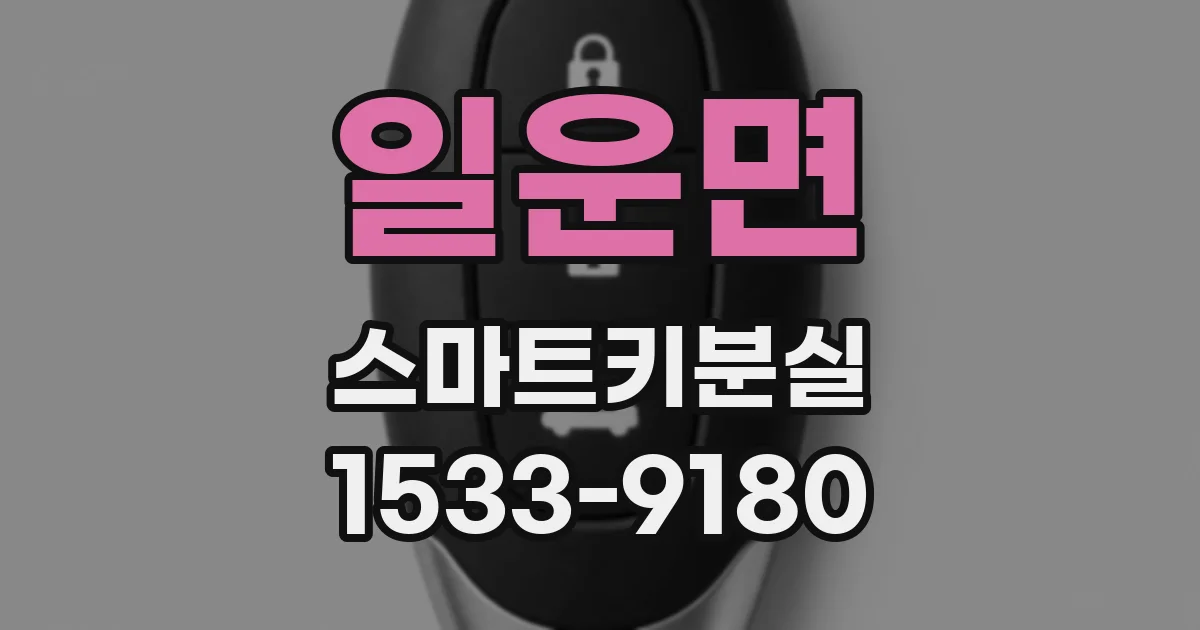 일운면 스마트키분실
