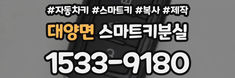 대양면 스마트키분실