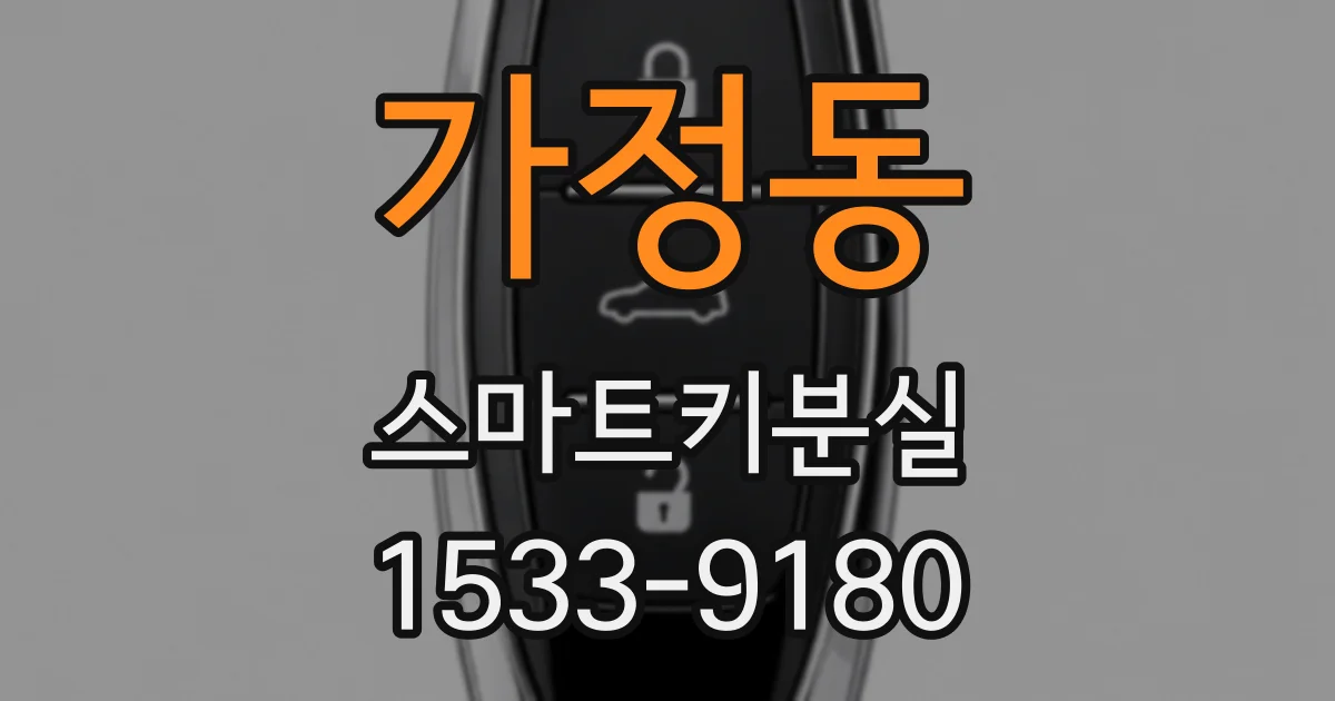 가정동 스마트키분실