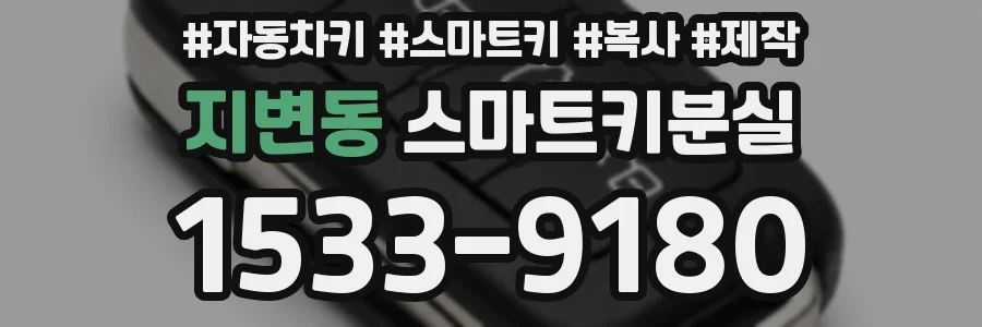 지변동 스마트키분실
