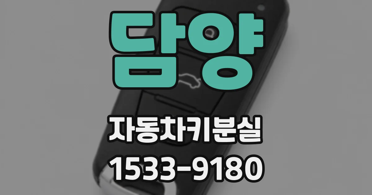 담양 자동차키분실