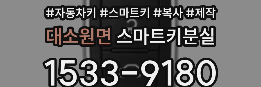 대소원면 스마트키분실