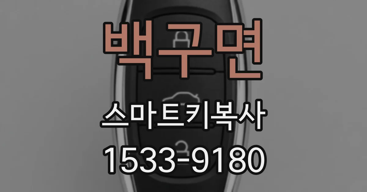 백구면 스마트키복사