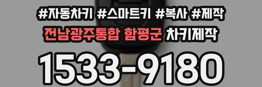 전남광주통합 함평군 차키제작