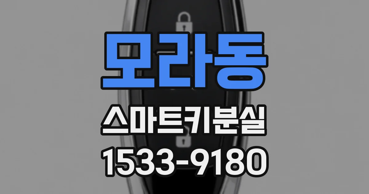 모라동 스마트키분실