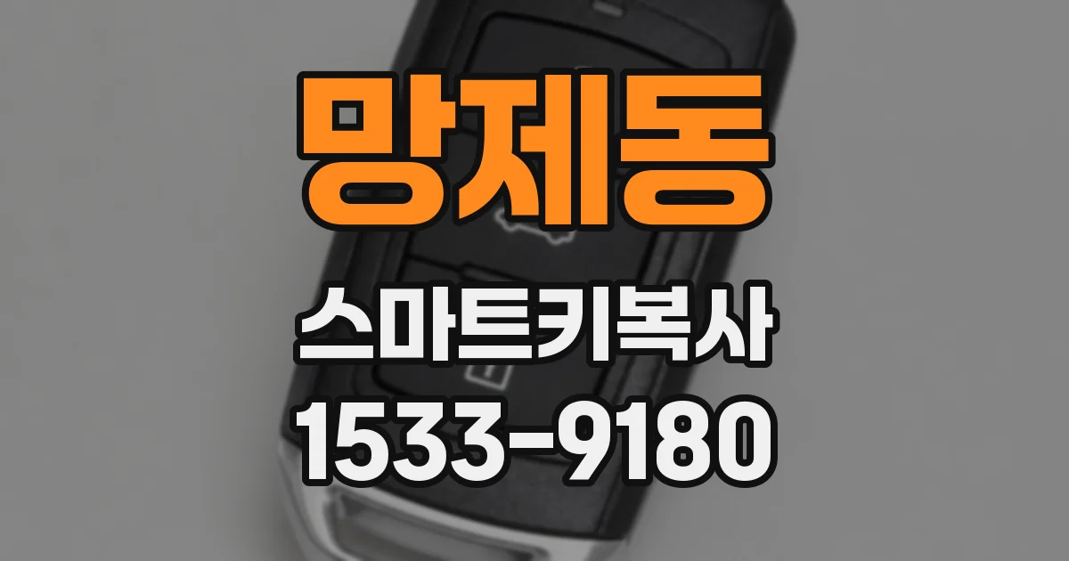 망제동 스마트키복사