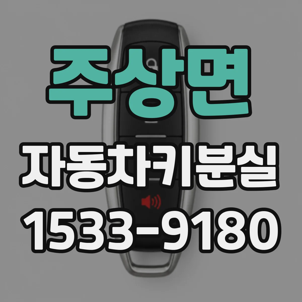 주상면 자동차키분실