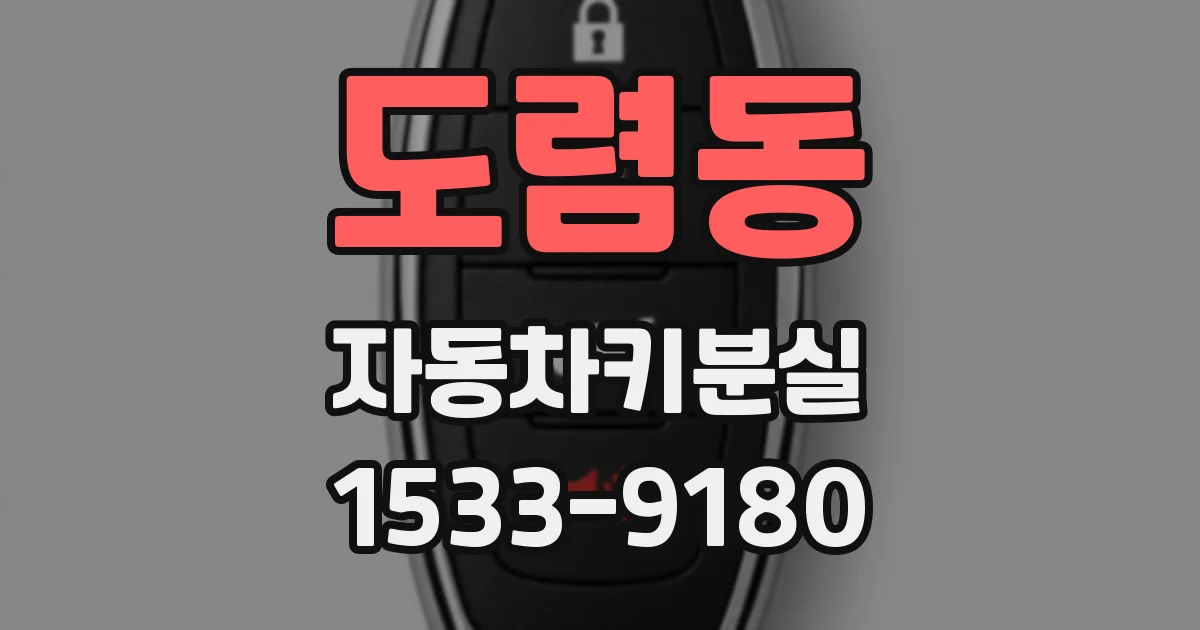 도렴동 자동차키분실