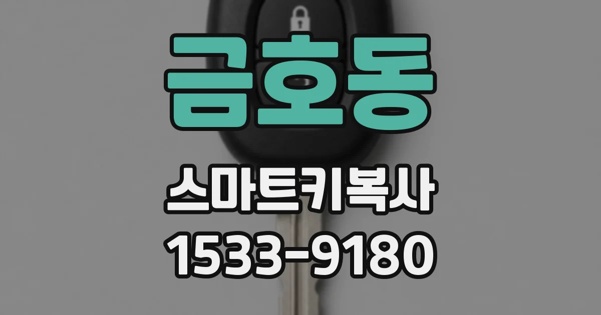 금호동 스마트키복사