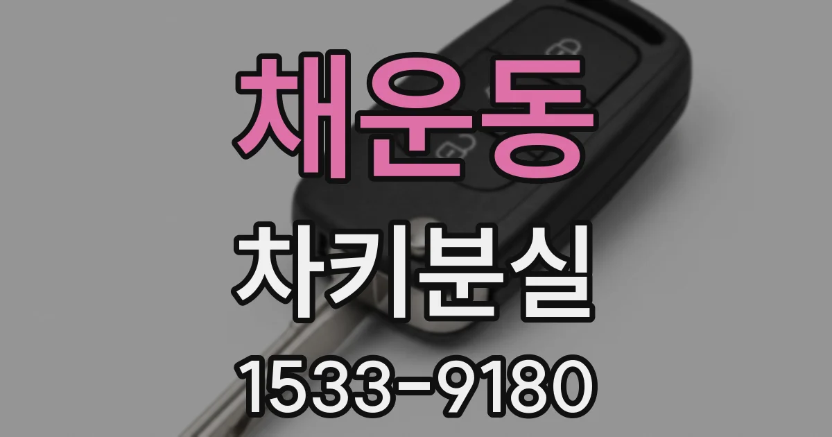 채운동 차키분실