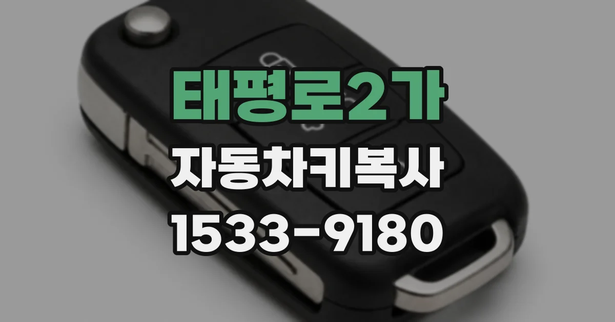 태평로2가 자동차키복사