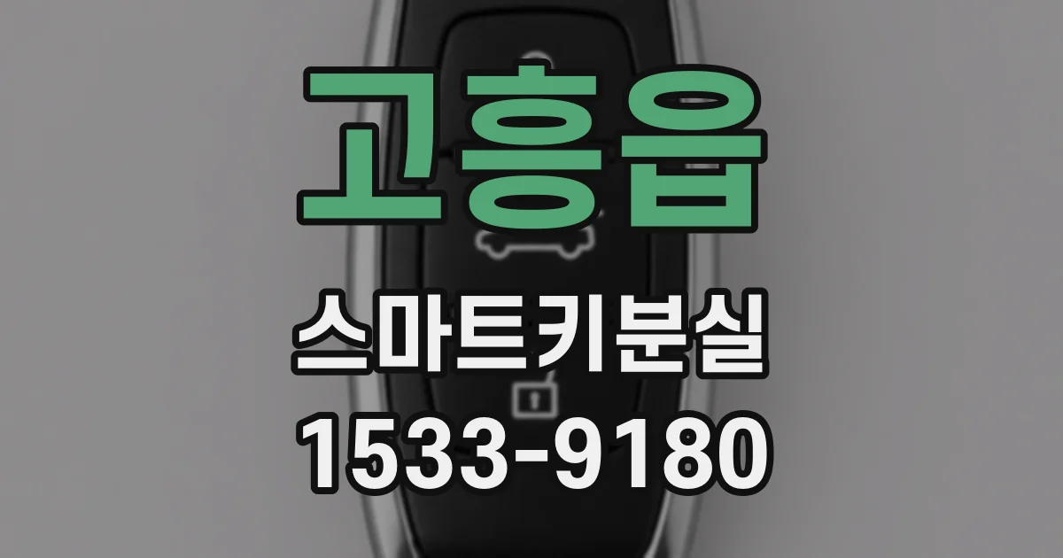 고흥읍 스마트키분실