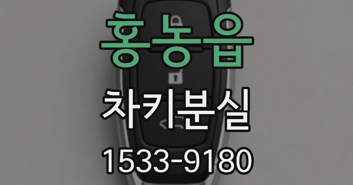 홍농읍 차키분실