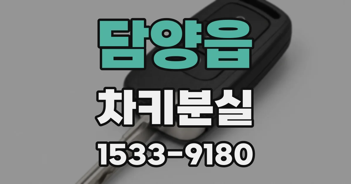담양읍 차키분실