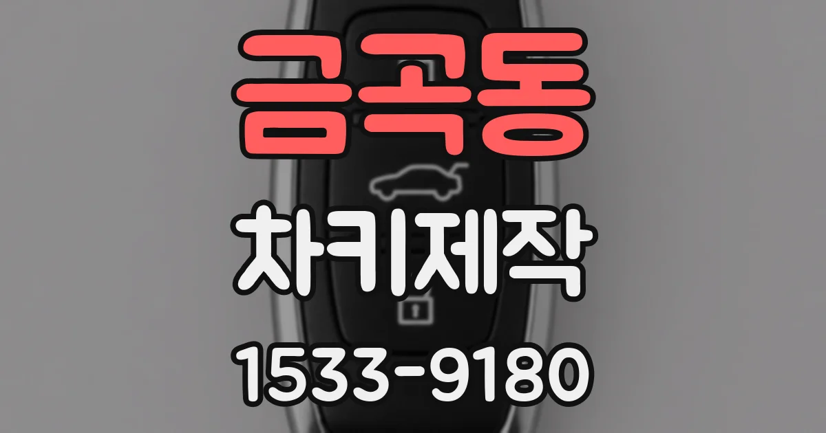 금곡동 차키제작