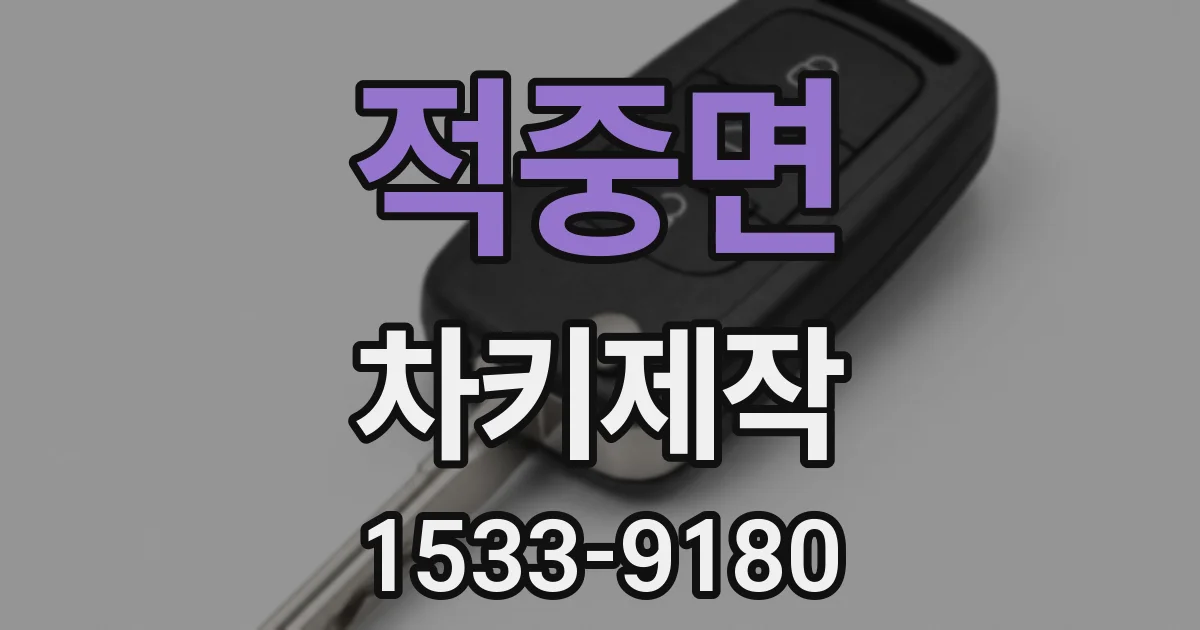 적중면 차키제작