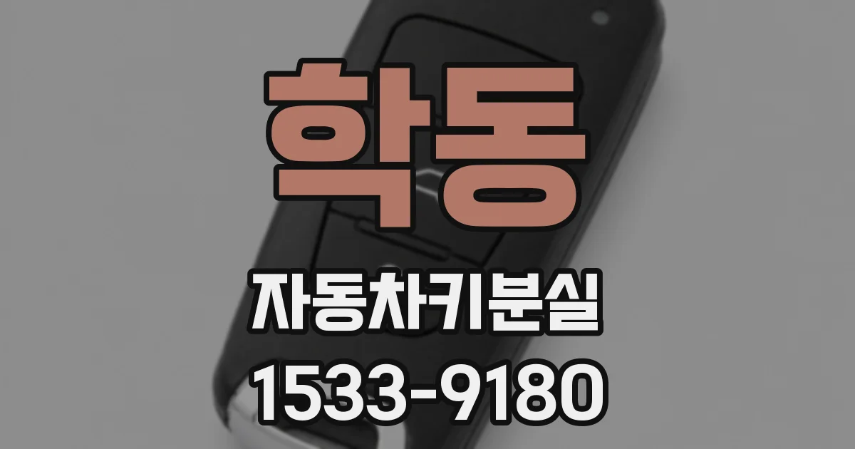 학동 자동차키분실