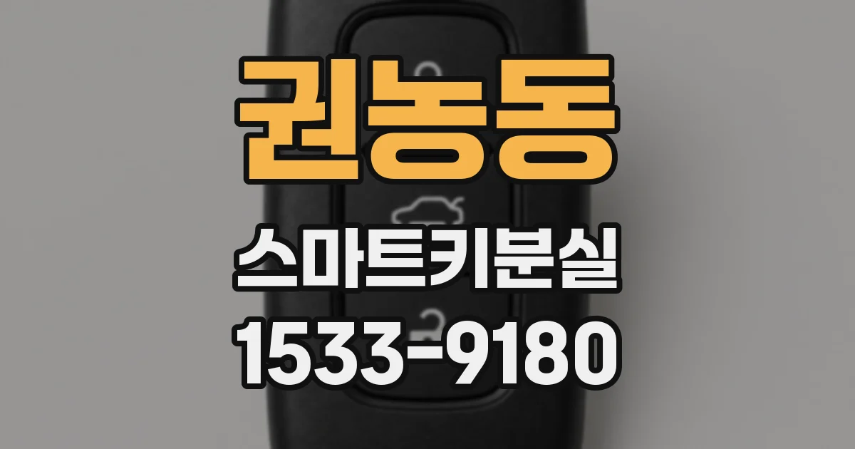 권농동 스마트키분실