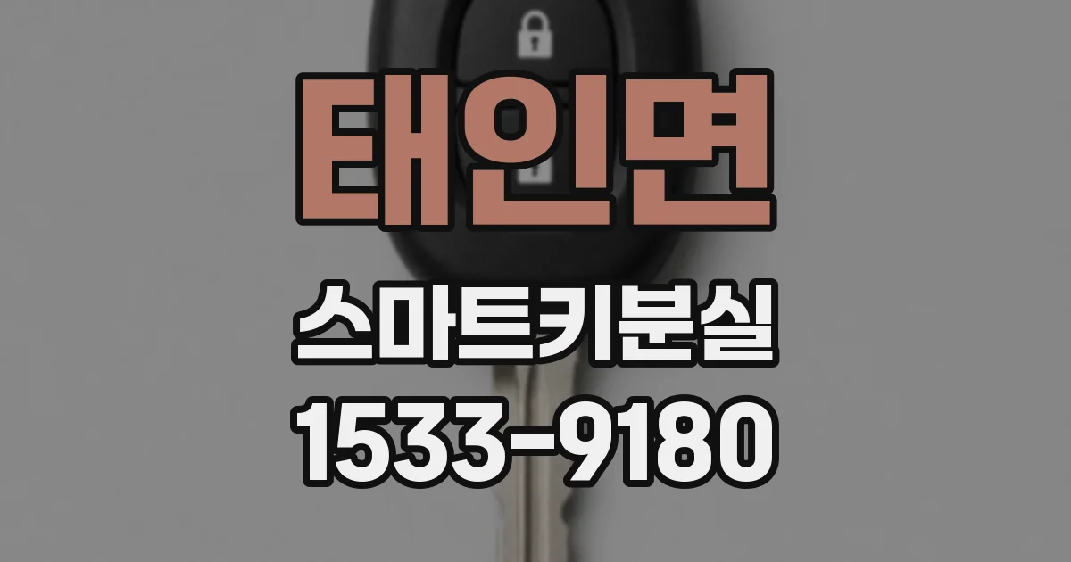 태인면 스마트키분실