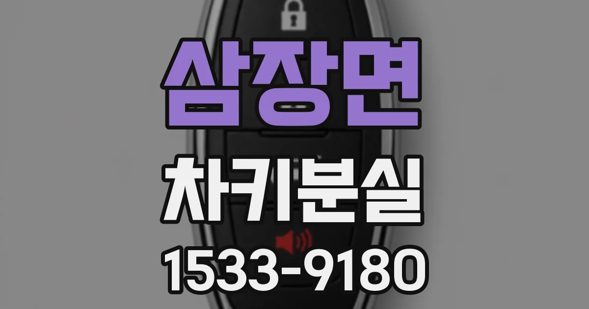 삼장면 차키분실