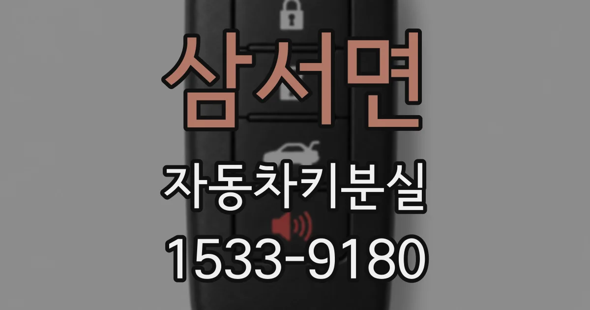 삼서면 자동차키분실