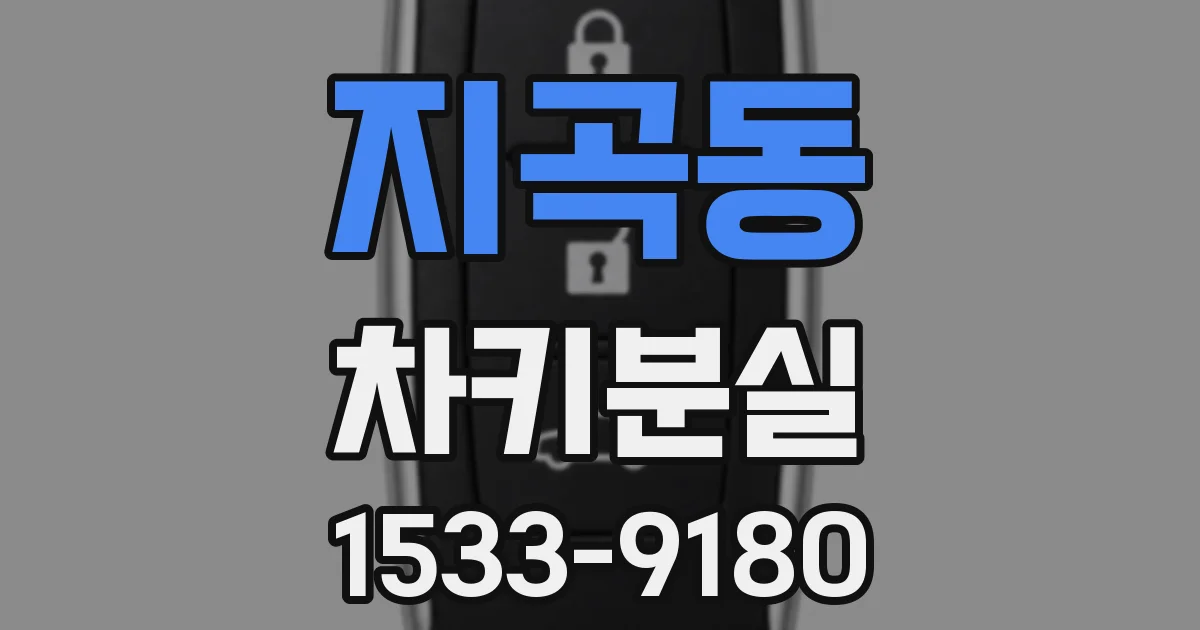 지곡동 차키분실