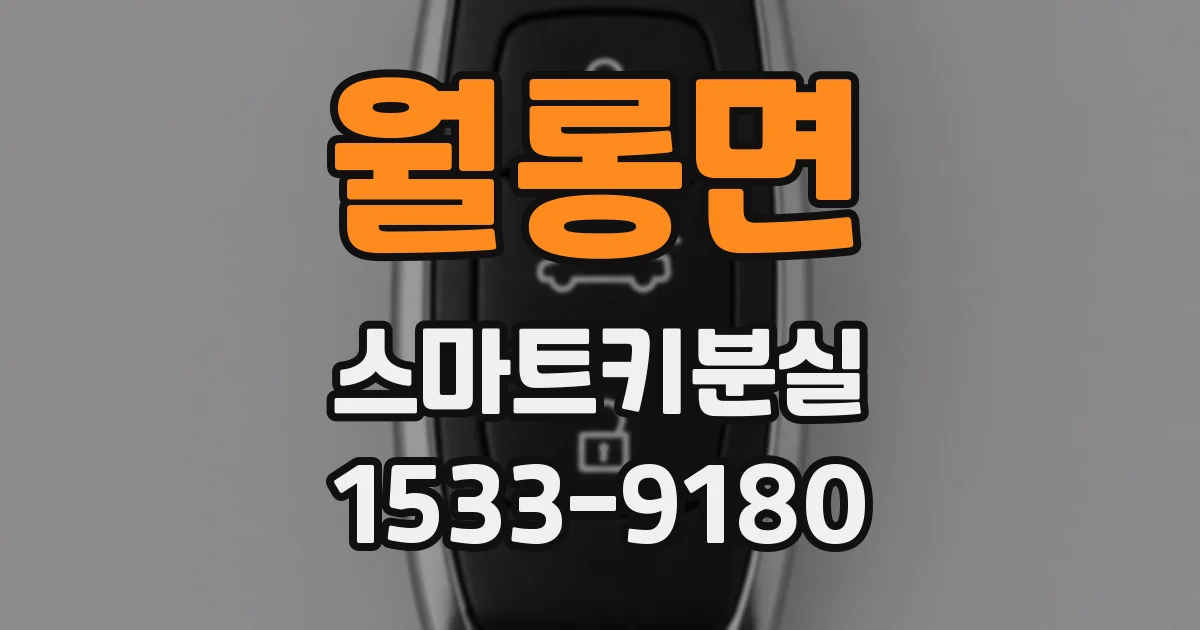 월롱면 스마트키분실