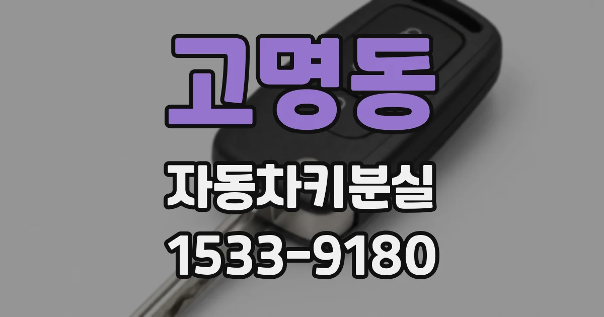 고명동 자동차키분실