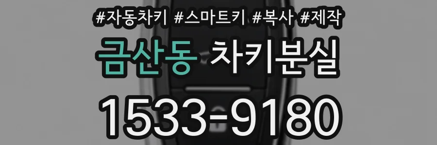 금산동 차키분실