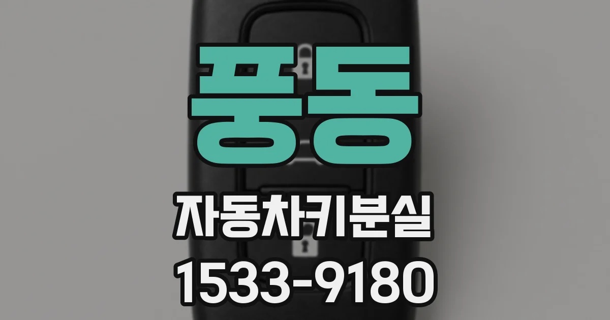 풍동 자동차키분실