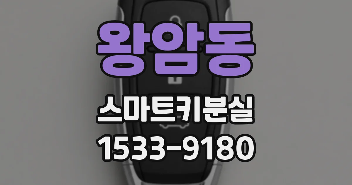 왕암동 스마트키분실