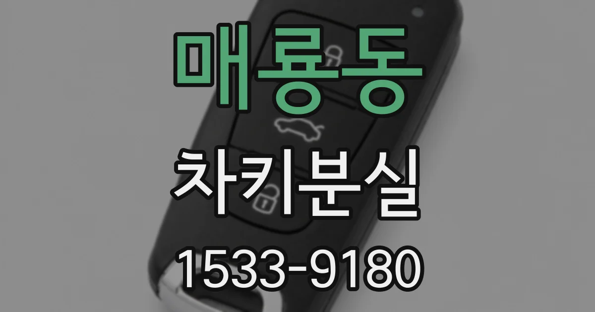 매룡동 차키분실
