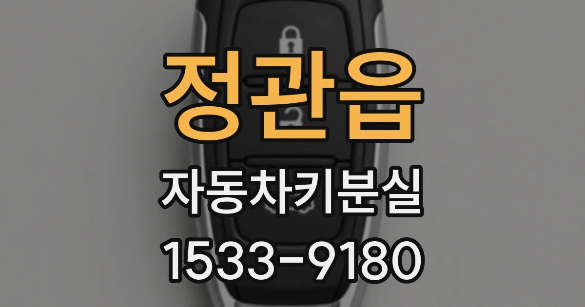 정관읍 자동차키분실