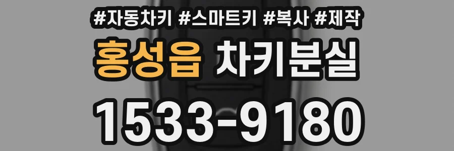 홍성읍 차키분실