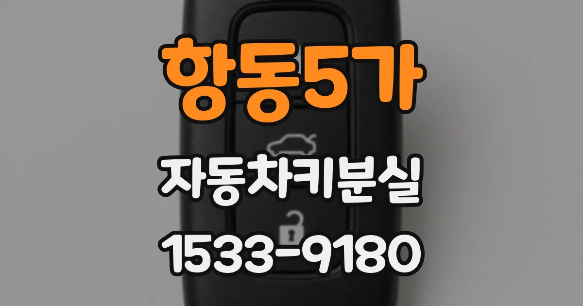 항동5가 자동차키분실