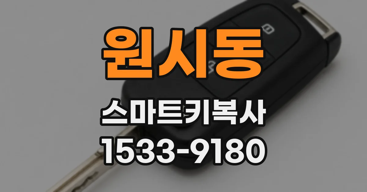 원시동 스마트키복사