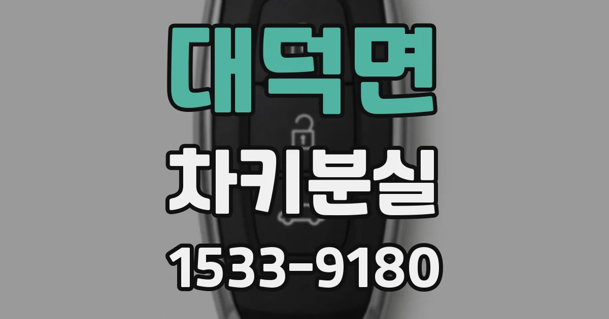 대덕면 차키분실