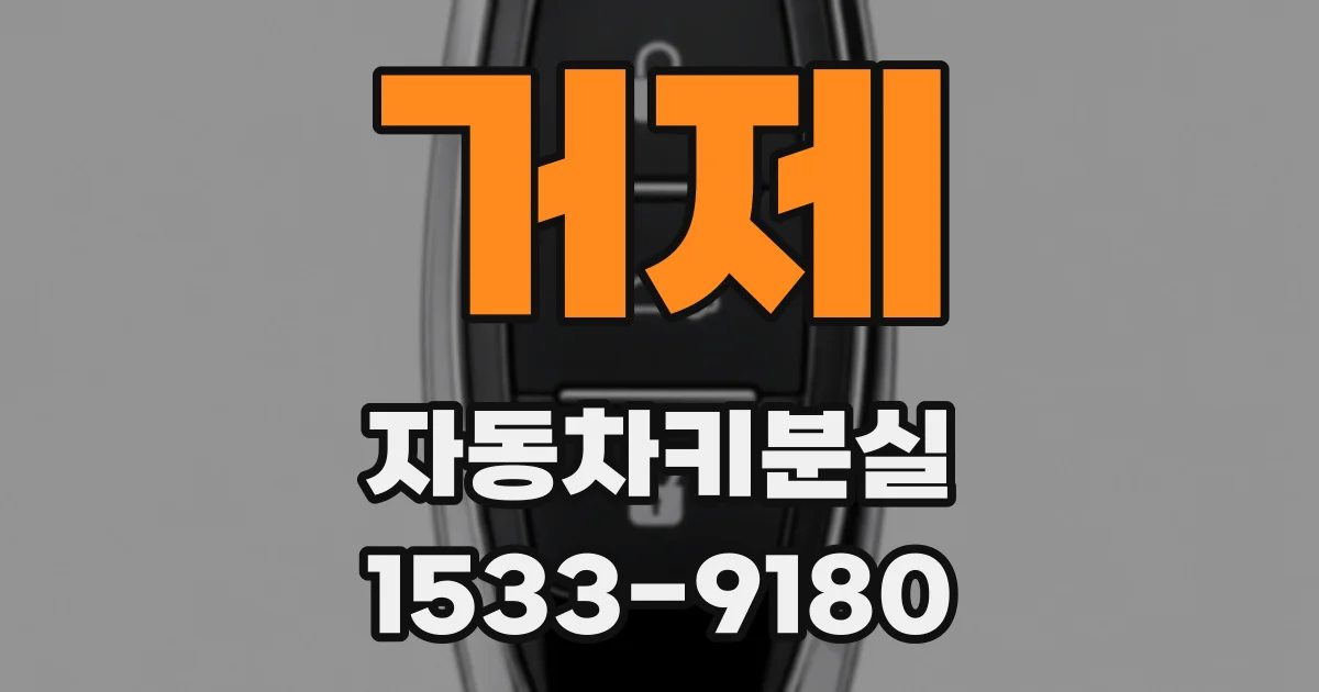 거제 자동차키분실