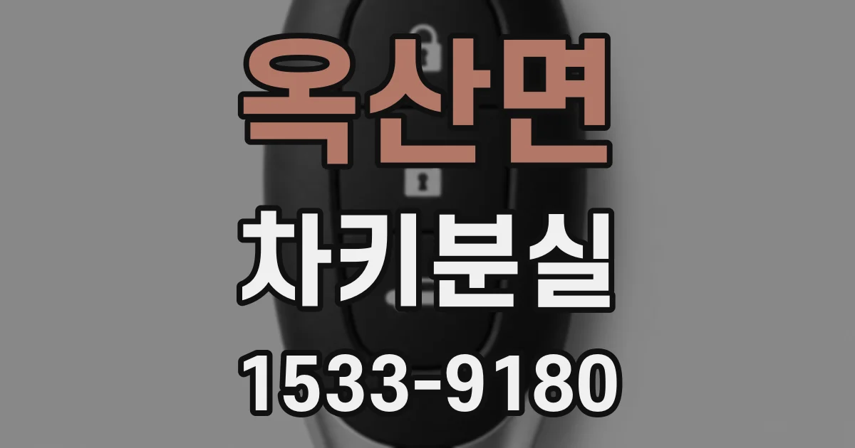 옥산면 차키분실