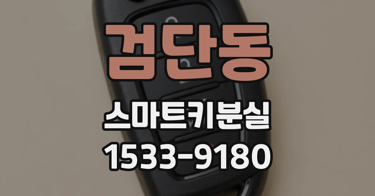 검단동 스마트키분실