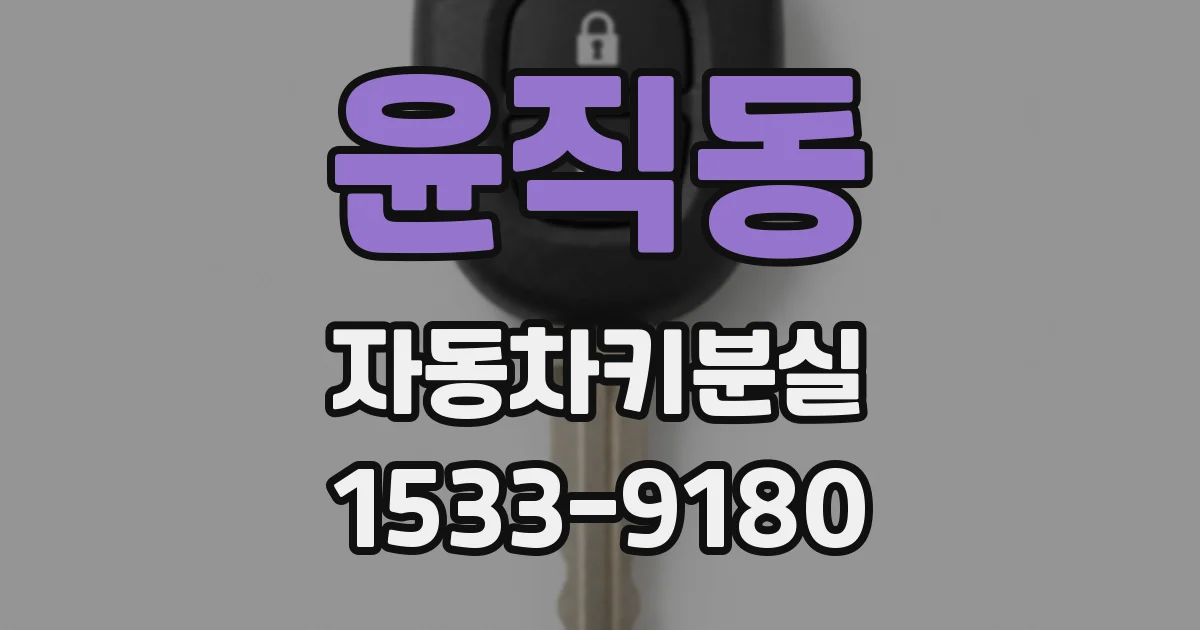윤직동 자동차키분실